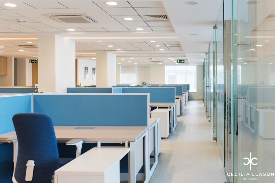 Office Interior Design - Wood top desks with light blue partitions, next to deep blue office chairs next to glass partition