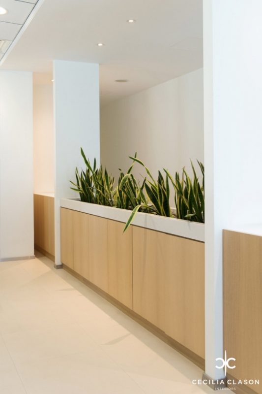 Office Interior Design - Light wood cabinet planter boxes containing snake plants, in-between two white pillars