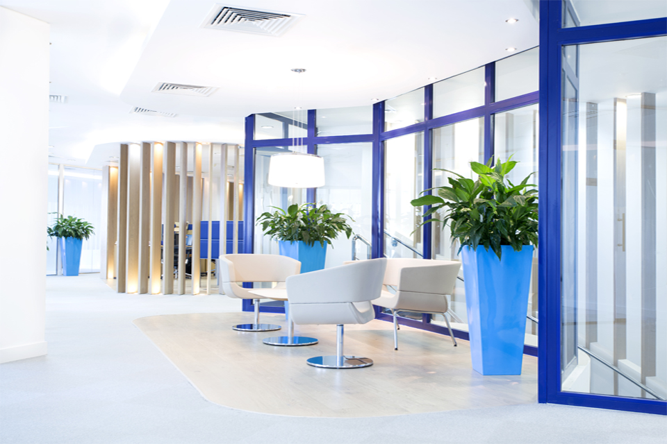 Office Interior Design - Slanted window panels with blue frame, modern chairs & wooden slates