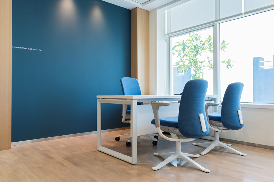 Office Interior Design - Deep blue feature wall with white office desk and white & blue chairs, on wooden flooring